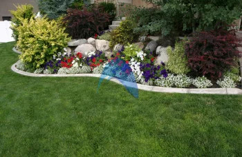 Soft Scape Service