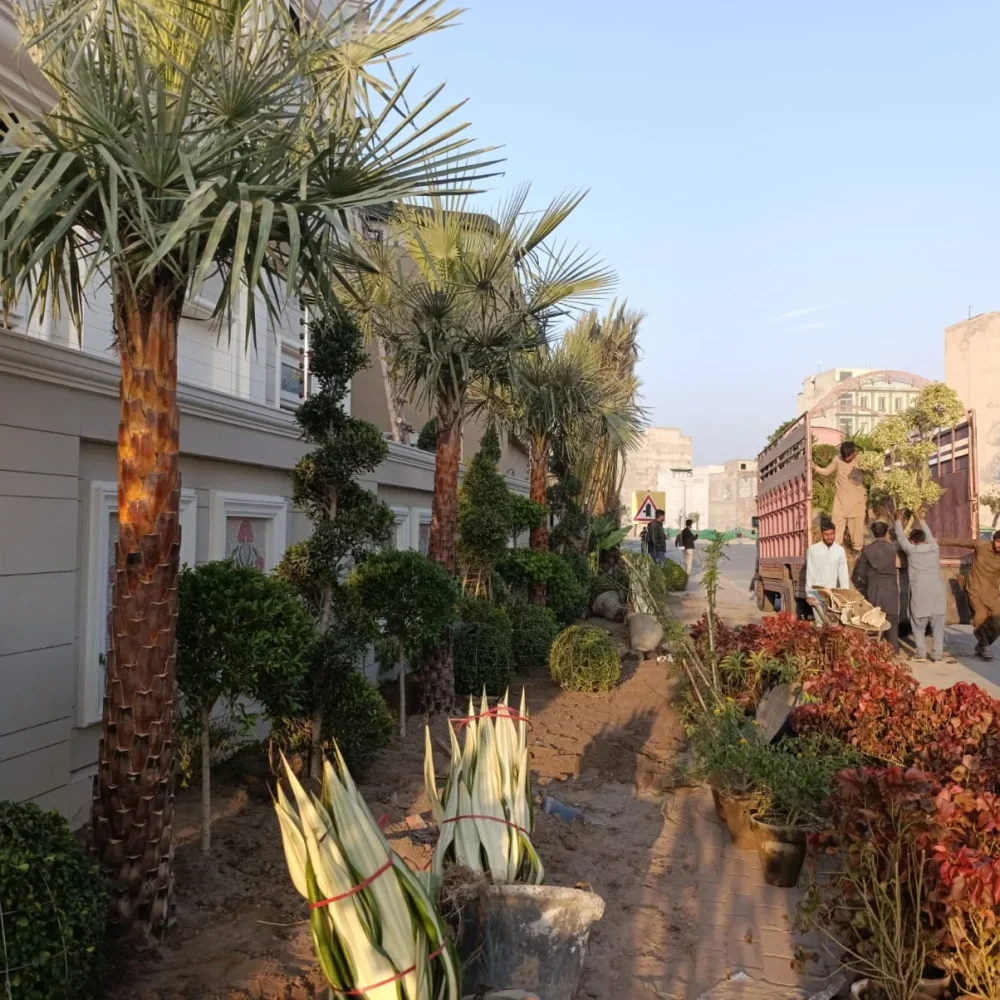 Construction Project - 14