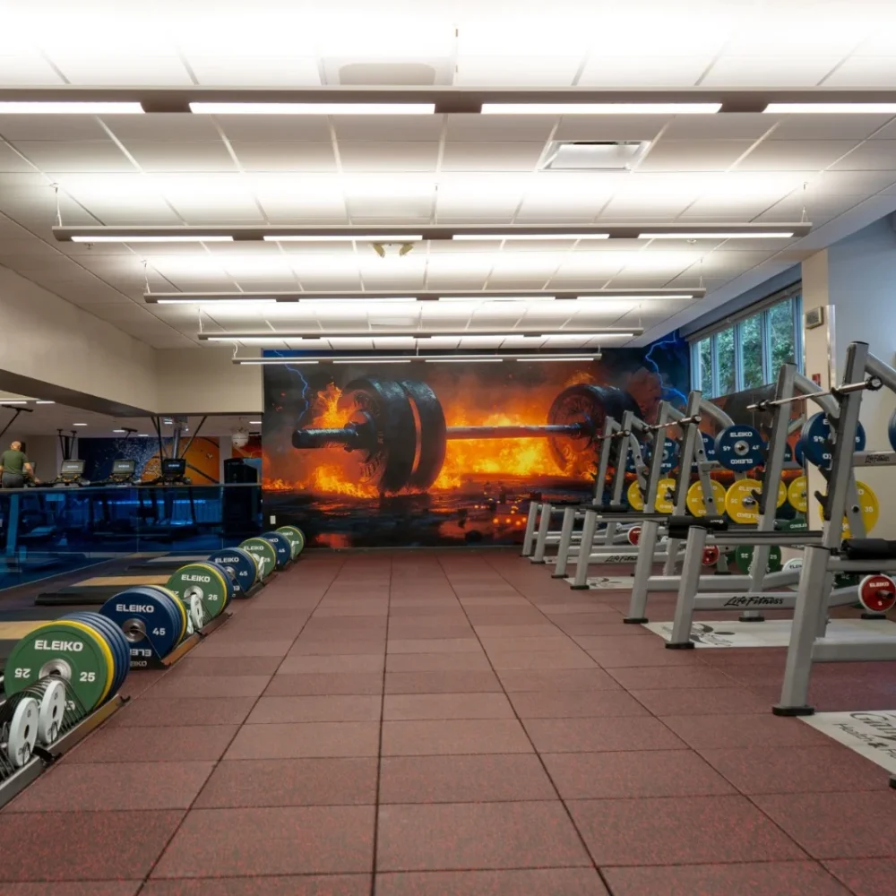 Gym and fitness centers